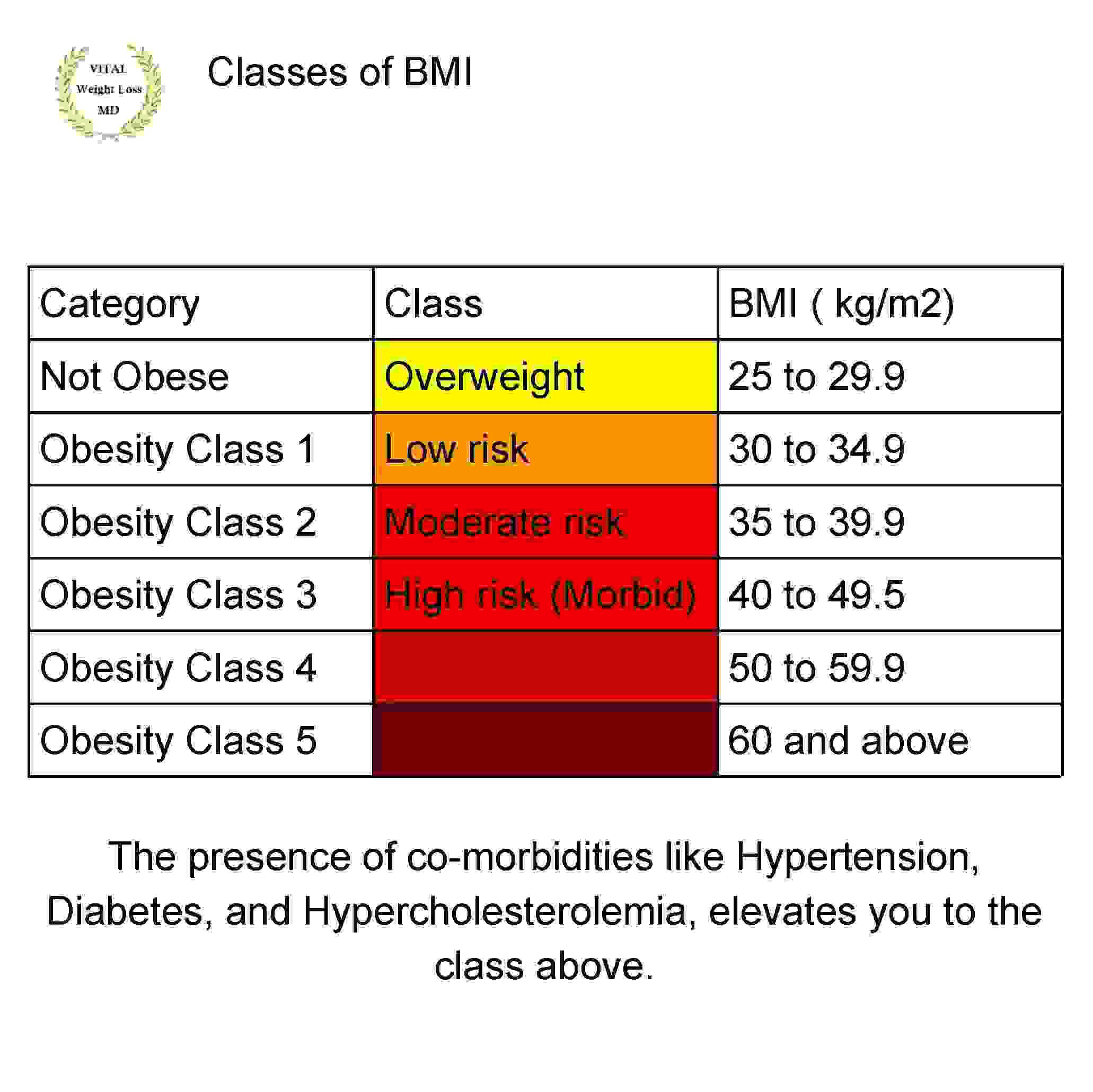 Obesity Health Risks Vital Weight Loss MD